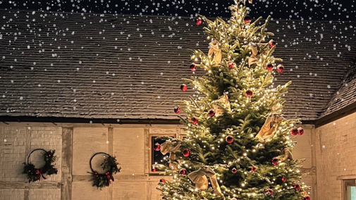 Christmas at Stowe Gardens